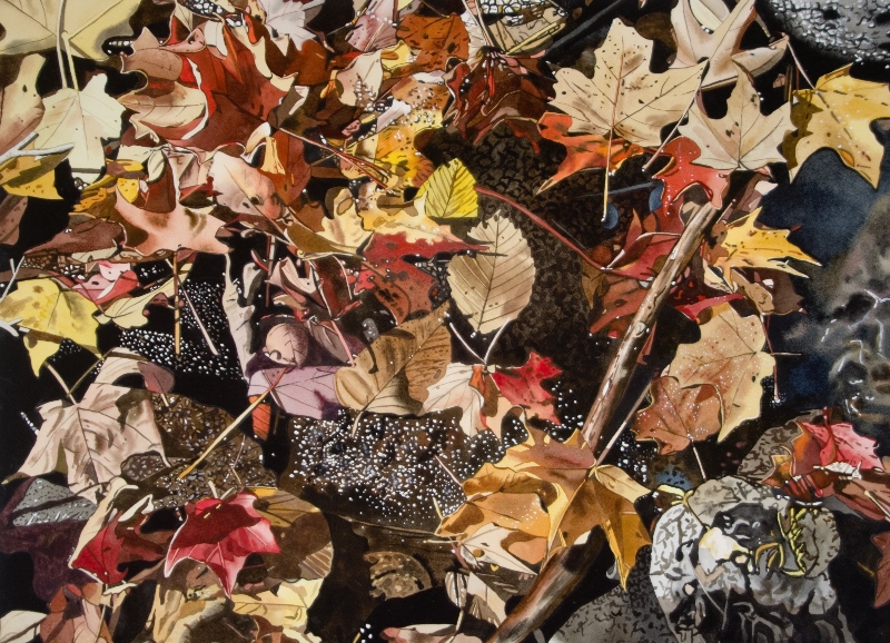 Fall Leaves with Rocks 22x30