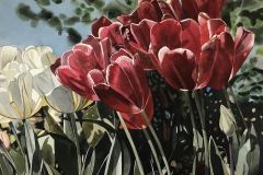 Red and White Tulips w. Sky 24.5x25