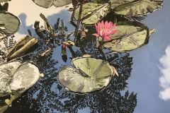 Water Lilies #2 26.5x36