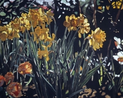Daffodils with Tulips 40x60