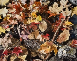 Fall Leaves with Rocks 22x30
