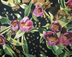 Magenta Tulips 16x20