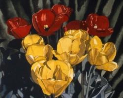 Red Yellow Tulips 9x10